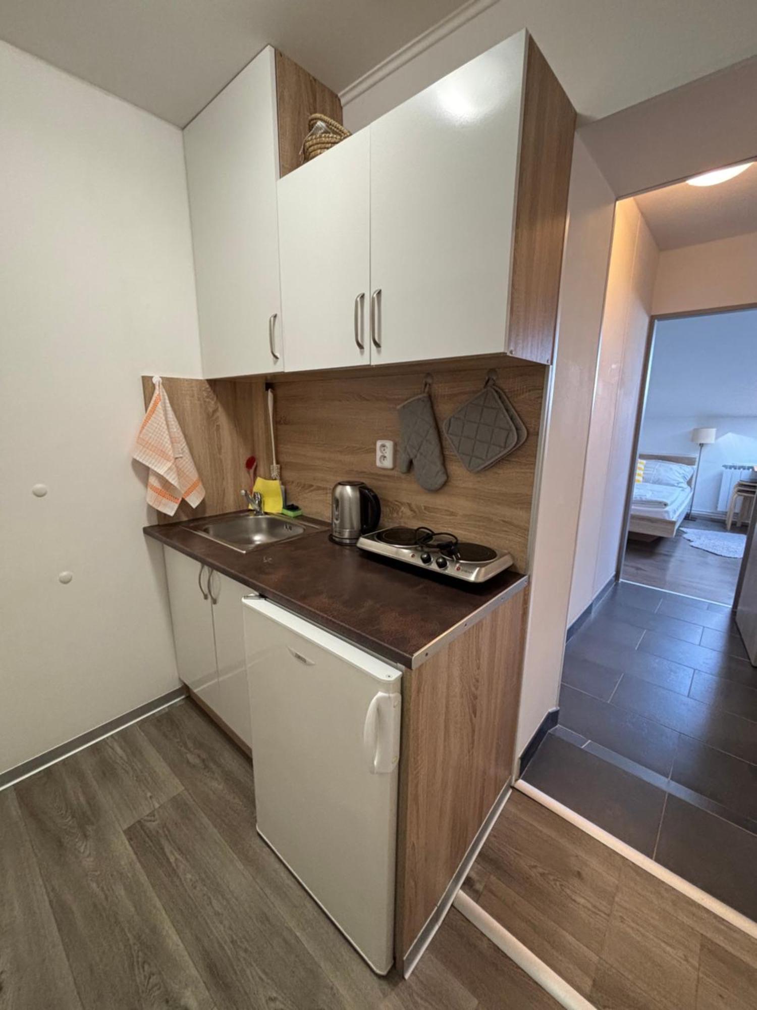 Apartmany Marco Polo เลดนิตเซ ภายนอก รูปภาพ